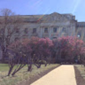 Meet your Posher, Kaylee